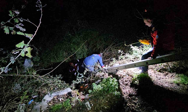 Sapanca'da Dere Yatağına Düşen Vatandaş Kurtarıldı