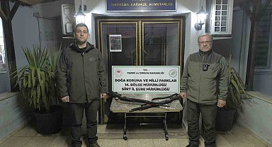 Siirt'te Kaçak Avcılara Ağır Ceza!