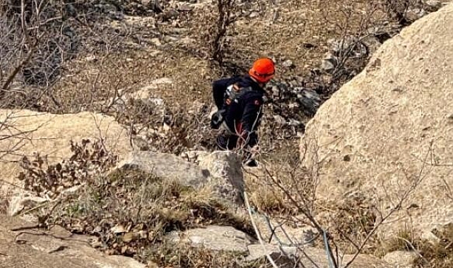 Siirt'te Mahsur Kalan Keçiler AFAD Ekipleri Sayesinde Kurtarıldı