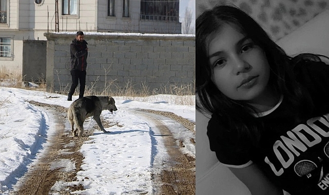 Sokak köpeklerinin öldürdüğü Eslem için Mülkiye Başmüfettişi görevlendirildi