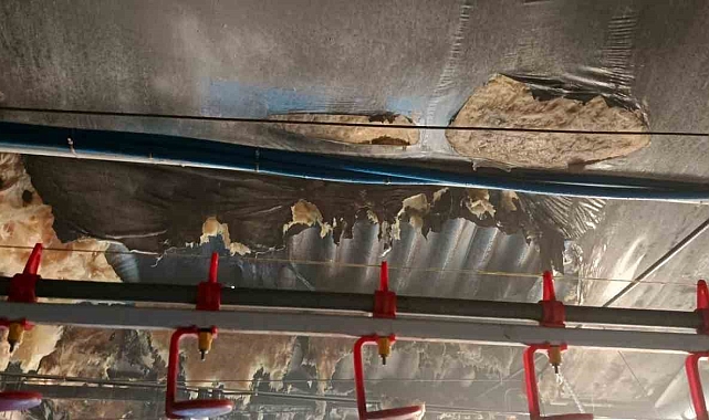 Tavuk çiftliğinde çıkan yangın itfaiyenin müdahalesiyle söndürüldü