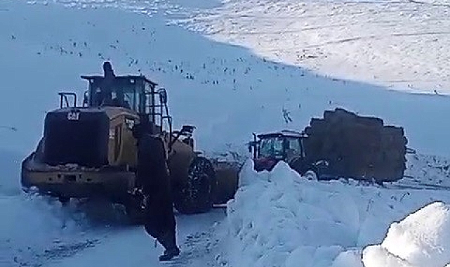 Tekman'da Traktör Çamurda Kaldı, İş Makinası İmkadına Koştu!