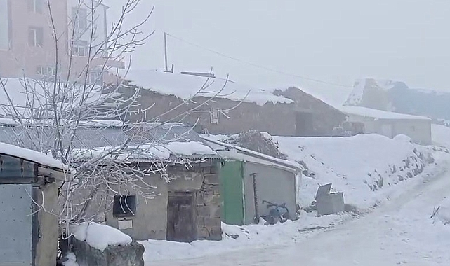 Türkiye'nin En Soğuk Noktası Tekman Oldu: Sibirya Soğukları Sarstı