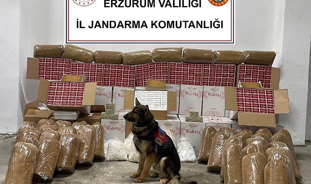 Tütün köpeği Zahir yine kaçakçıları ele verdi