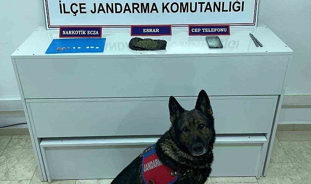 Van Erciş'te Uyuşturucu Operasyonu: Asker Kaçağı Yakalandı