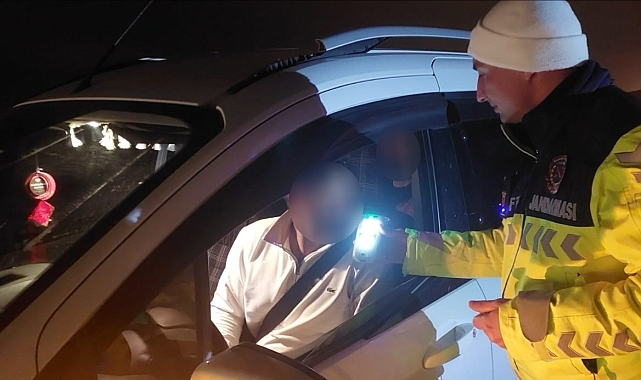 Van'da Kapsamlı Trafik Denetimi: 134 Araç Trafikten Men Edildi