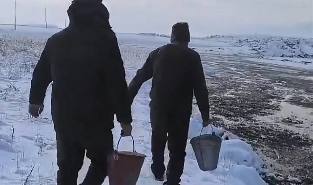 Van'da Kuşlar İçin Sofra Kuruldu!