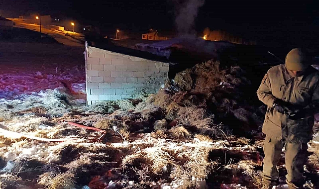 Van'da Ot Yangını Felaketi: Bir Yıllık Emek Küle Dönüştü