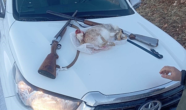 Van'da Yasadışı Avlananlara Ağır Ceza!