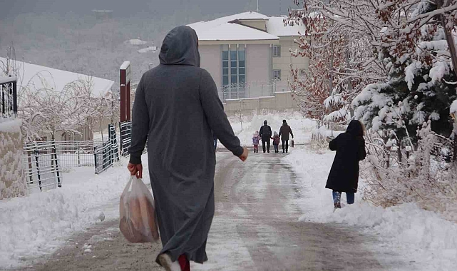 Van'ı Vuran Şiddetli Kar Yağışı: 493 Yerleşim Yeri Ulaşıma Kapalı