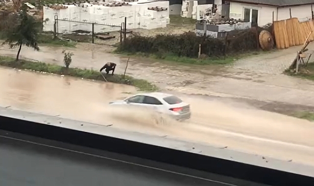 Yalova'da Kahraman Vatandaş Su Baskınını Önledi: Felaket Anında Kahramanlık