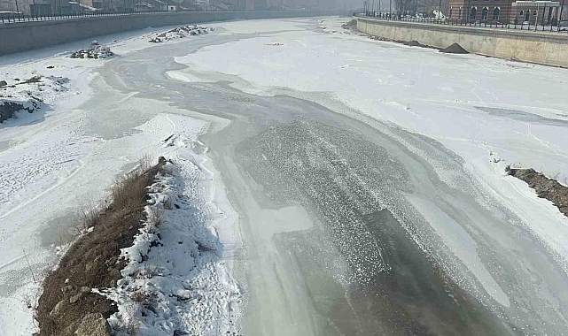 Ağrı'da Sibirya Soğukları Hayatı Durma Noktasına Getirdi