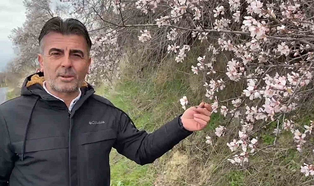 Bir yanda bahar, bir yanda kış