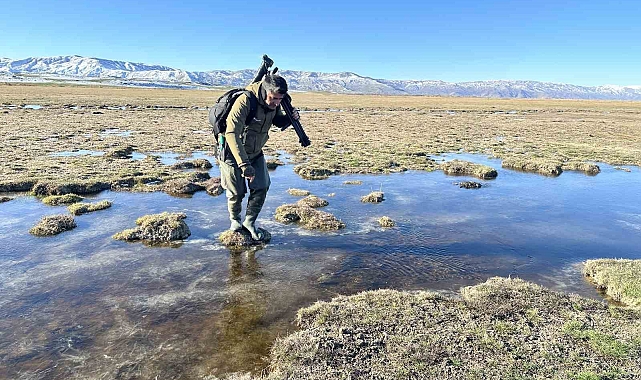 Bitlis'te Toprak Fışkırması: Doğaseverler ve Uzmanlar Endişeli