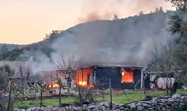 Bodrum'da Prefabrik Ev Yangını: Bir Yaralı