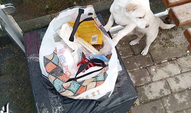Bursa'da Yavru Köpek Durağa Terk Edildi