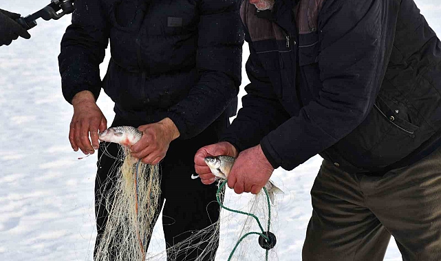 Çıldır Gölü'nde Balıkçılar "Eskimo Usulü" Balık Avlıyor