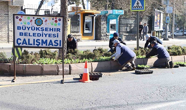 Diyarbakır'da Kışlık Çiçekler Toprakla Buluşuyor