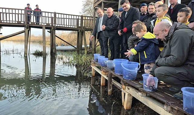 Düzce'de Dünya Sulak Alanlar Günü Kutlaması: Efteni Gölü'ne 10 Bin Sazan Bırakıldı