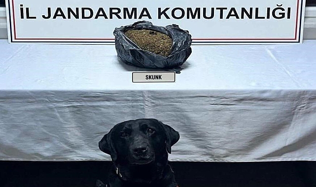 Düzce'de Uyuşturucu Operasyonu: Otomobilin Motor Kaputunda Skunk Ele Geçirildi