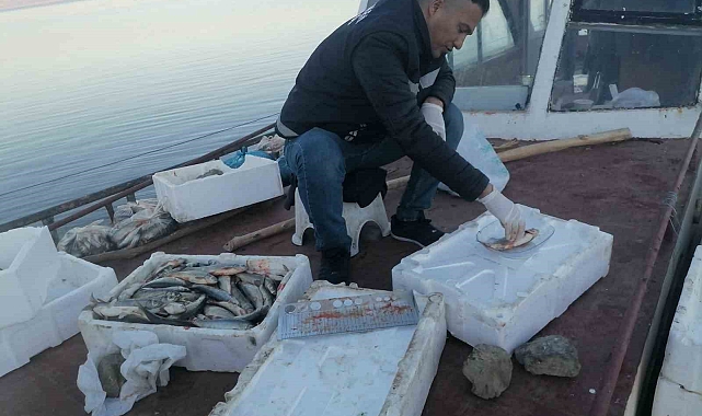 Erçek Gölü'nde İnci Kefalı Bereketi