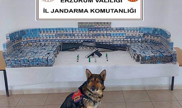 Erzurum'da Jandarmadan Kaçak Sigara Operasyonu