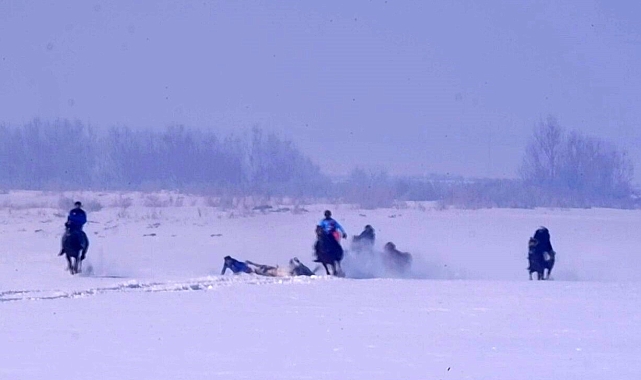 Erzurum'da Kar Üstünde At Yarışı Heyecanı: Kaza Anları Yürekleri Ağza Getirdi