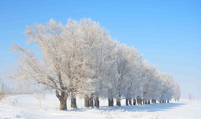 Erzurum'da Termometreler -28,5'i Gördü: Meteoroloji'den Çığ ve Buzlanma Uyarısı!