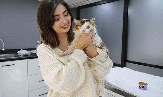 Eskişehir'de Araç Çarpması Sonucu Bir Gözünü Kaybeden Kedi, Yeni Yuvasına Kavuşuyor