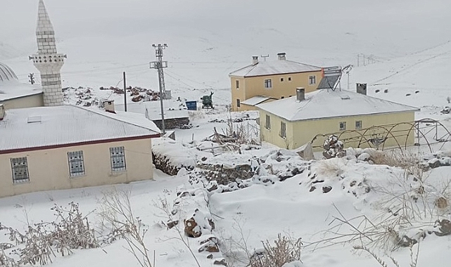 Iğdır'da Bahar ve Kış Bir Arada Yaşanıyor: Yüksek Kesimlerde Kar Sevinci, Şehir Merkezinde Bahar Havası
