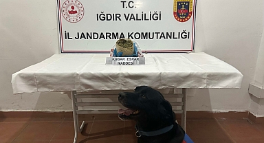 Iğdır'da Jandarmadan Uyuşturucu Operasyonu: 1 Kilo Esrar Ele Geçirildi