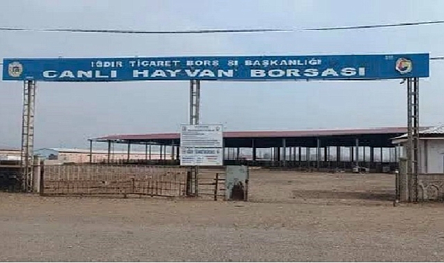 Iğdır Hayvan Pazarı Şap Hastalığı Nedeniyle Karantinaya Alındı
