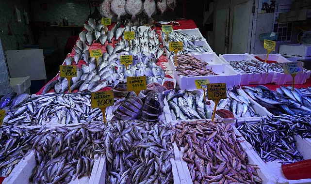 Karadeniz'de Sibirya Soğukları Balık Piyasasını Etkiledi
