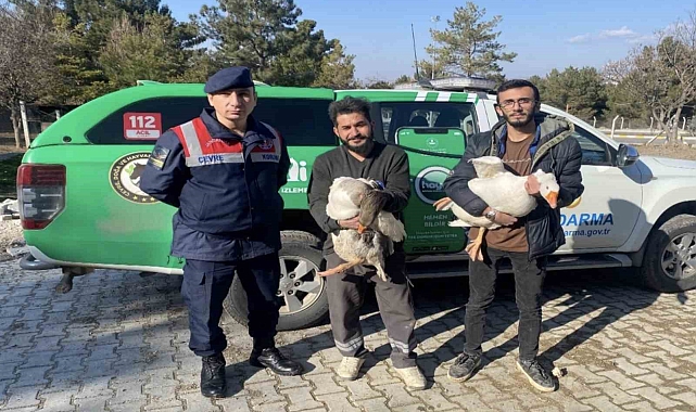 Kaz dövüşü yaptıran 7 şahsa suçüstü baskın: 72 bin lira ceza uygulandı