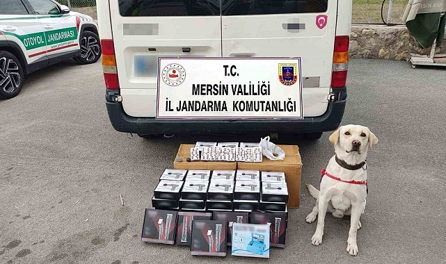 Mersin'de Narkotik Köpeği Uyuşturucu Haplarını Buldu: 3 Gözaltı