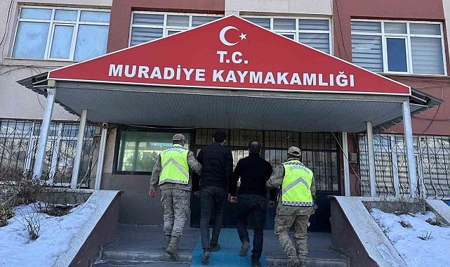 Muradiye'de Jandarmadan Göçmen Kaçakçılığına Darbe: 2 Düzensiz Göçmen Yakalandı, 2 Şüpheli Tutuklandı