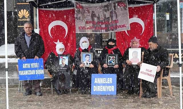 Muş'ta Evlat Nöbeti Kar Altında Devam Ediyor