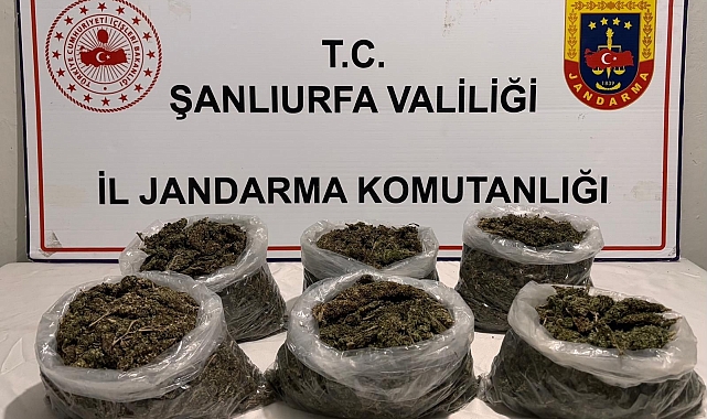 Şanlıurfa'da Eş Zamanlı Uyuşturucu Operasyonu: 16 Gözaltı
