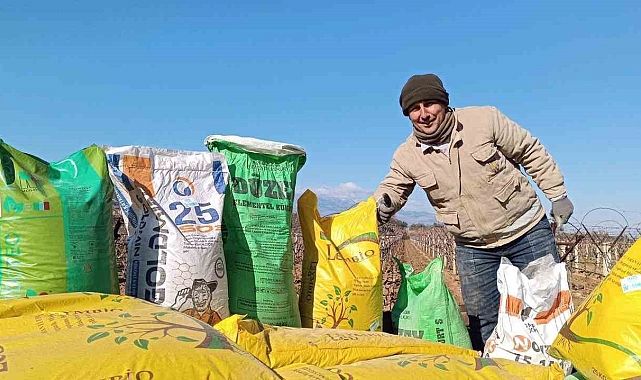 Sarıgöl'de Sultaniye Üzüm Bağlarına Kışlık Gübreleme Başladı