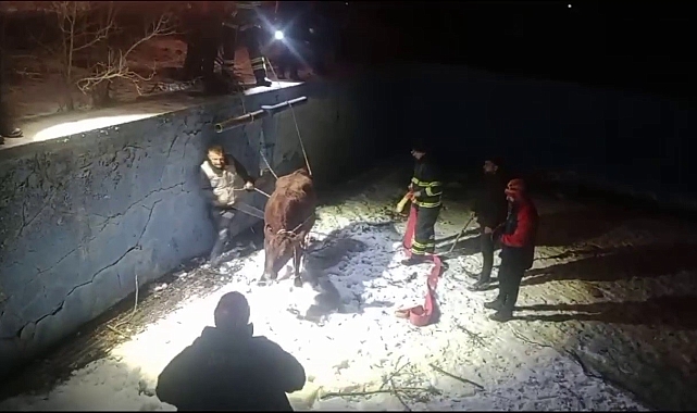 Sivas'ta İnek Kurtarma Operasyonu