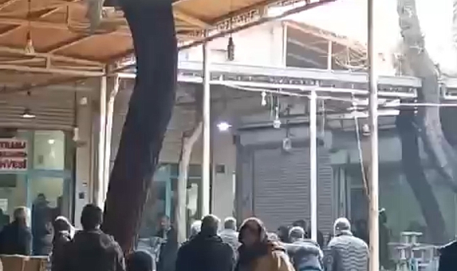 Siverek'te Alacak Verecek Kavgası: Sandalyeler Havada Uçuştu