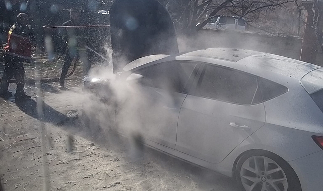 Van'da park halindeki otomobil yandı