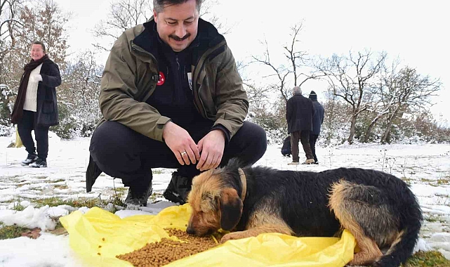 Yenişehir Belediye Başkanı'ndan Yaban Hayvanlarına Destek Eli