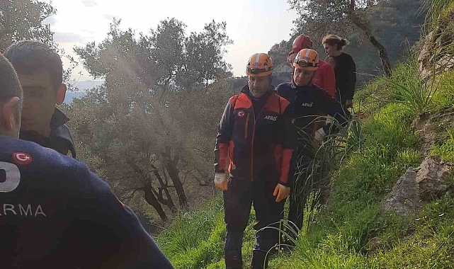 Zeytin Ağacından Düşen Vatandaşın Yardımına Ekipler Koştu