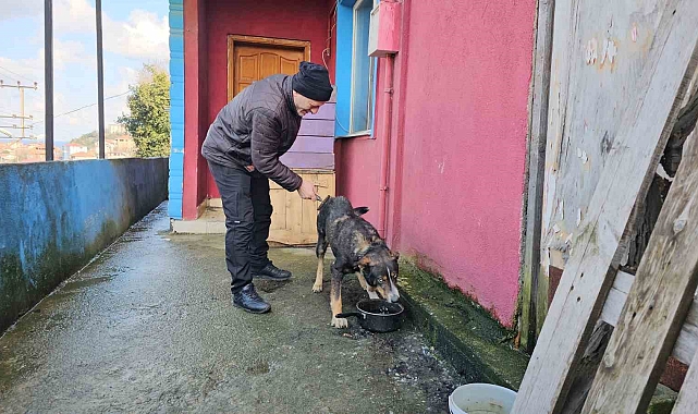 Zonguldak'ta Emekli Madenci Yaralı Köpeği Tedavi Ettirdi, Köpek Günler Sonra Kapısına Geri Döndü