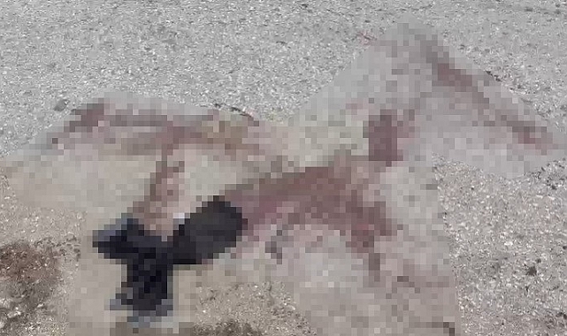 Ankara Siteler'de Esnaf Kavgası: 7 Yaralı