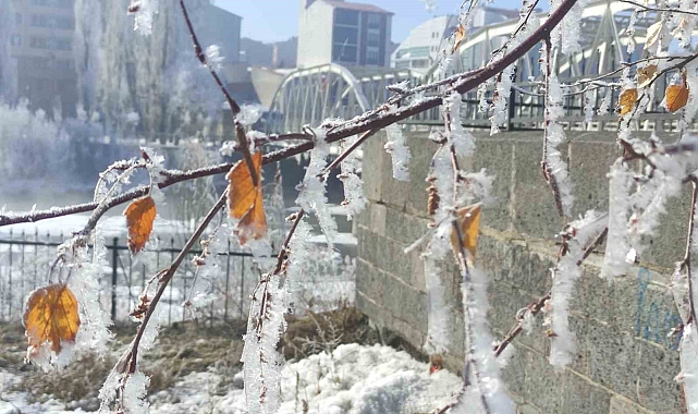 Ardahan'da Dondurucu Soğuklar Hayatı Felç Etti! Göle Eksi 15,5 Dereceyi Gördü