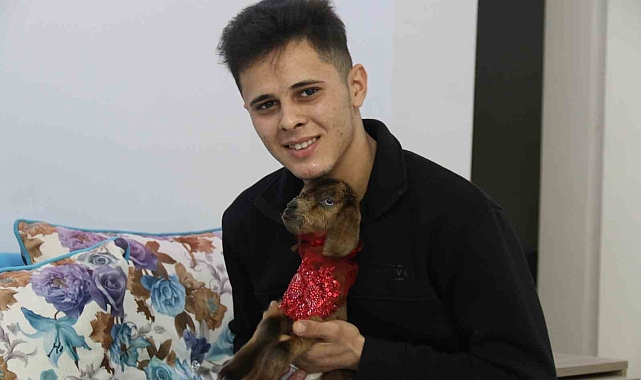 Eve aldığı keçi yavrusuna bebek gibi bakıyor