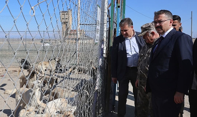 Iğdır Valisi Turan'dan Sahipsiz Hayvan Bakımevi'ne Ziyaret
