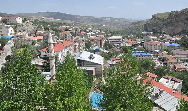 Tunceli Çemişgezek'te Koyun-Keçi Çiçek Hastalığı Alarmı: Hayvan Hareketleri Yasaklandı